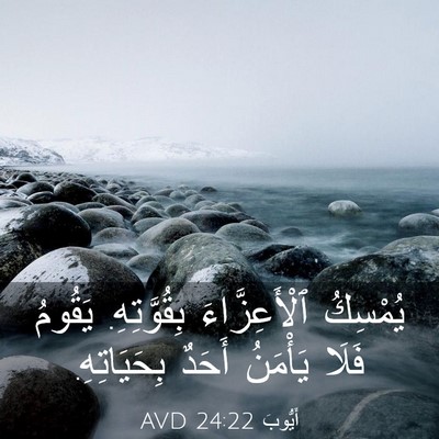 Picture 03 - أَيُّوبَ 24:22 AVD - يُمْسِكُ ٱلْأَعِزَّاءَ - Bible Verse Picture