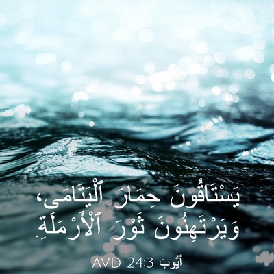 Picture 03 - أَيُّوبَ 24:3 AVD - يَسْتَاقُونَ حِمَارَ - Bible Verse Picture