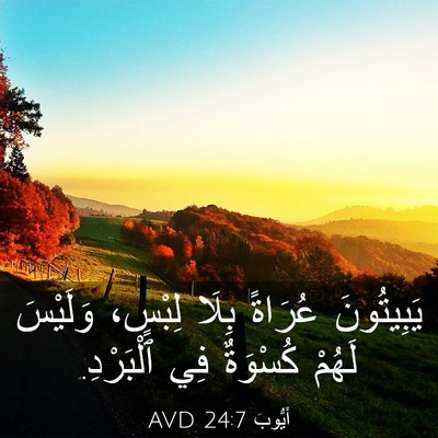 Picture 03 - أَيُّوبَ 24:7 AVD - يَبِيتُونَ عُرَاةً بِلَا - Bible Verse Picture