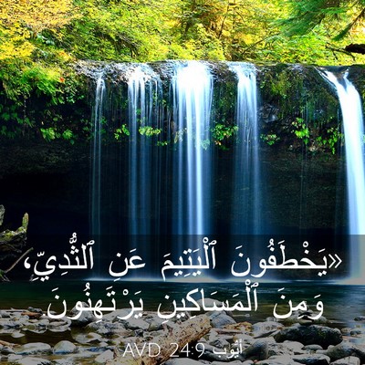 Picture 03 - أَيُّوبَ 24:9 AVD - «يَخْطَفُونَ ٱلْيَتِيمَ - Bible Verse Picture