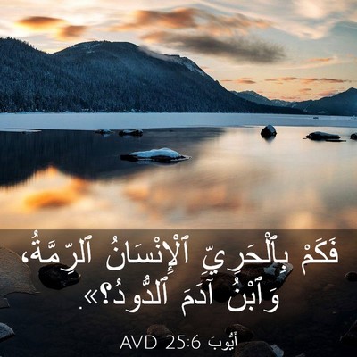 Picture 03 - أَيُّوبَ 25:6 AVD - فَكَمْ بِٱلْحَرِيِّ - Bible Verse Picture