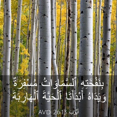 Picture 03 - أَيُّوبَ 26:13 AVD - بِنَفْخَتِهِ - Bible Verse Picture