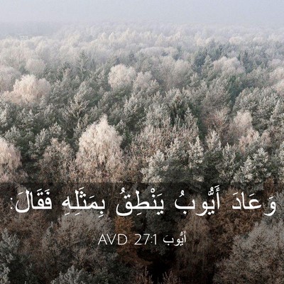 Picture 03 - أَيُّوبَ 27:1 AVD - وَعَادَ أَيُّوبُ يَنْطِقُ - Bible Verse Picture