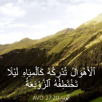 Picture 03 - أَيُّوبَ 27:20 AVD - ٱلْأَهْوَالُ تُدْرِكُهُ - Bible Verse Picture