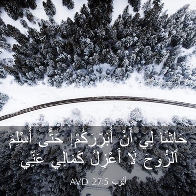 Picture 03 - أَيُّوبَ 27:5 AVD - حَاشَا لِي أَنْ - Bible Verse Picture