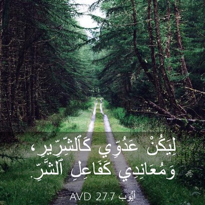 Picture 03 - أَيُّوبَ 27:7 AVD - لِيَكُنْ عَدُوِّي - Bible Verse Picture