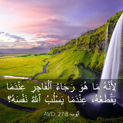 Picture 03 - أَيُّوبَ 27:8 AVD - لِأَنَّهُ مَا هُوَ رَجَاءُ - Bible Verse Picture