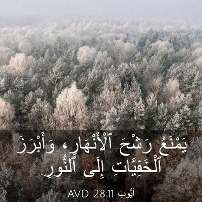 Picture 03 - أَيُّوبَ 28:11 AVD - يَمْنَعُ رَشْحَ - Bible Verse Picture