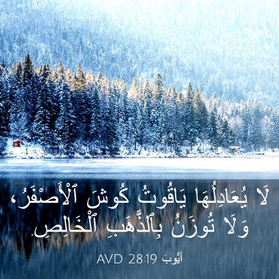 Picture 03 - أَيُّوبَ 28:19 AVD - لَا يُعَادِلُهَا يَاقُوتُ - Bible Verse Picture