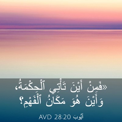 Picture 03 - أَيُّوبَ 28:20 AVD - «فَمِنْ أَيْنَ تَأْتِي - Bible Verse Picture