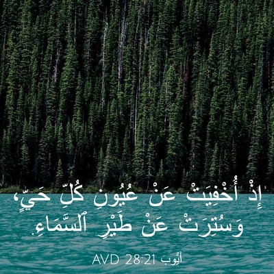 Picture 03 - أَيُّوبَ 28:21 AVD - إِذْ أُخْفِيَتْ عَنْ - Bible Verse Picture