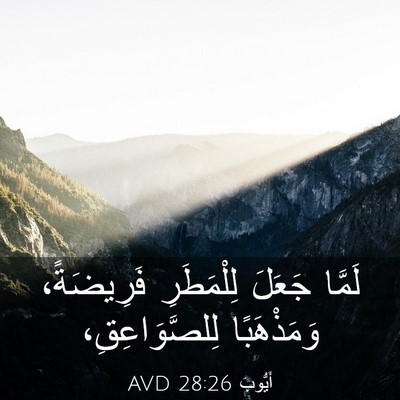 Picture 03 - أَيُّوبَ 28:26 AVD - لَمَّا جَعَلَ لِلْمَطَرِ - Bible Verse Picture