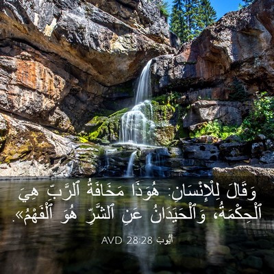 Picture 03 - أَيُّوبَ 28:28 AVD - وَقَالَ لِلْإِنْسَانِ: - Bible Verse Picture