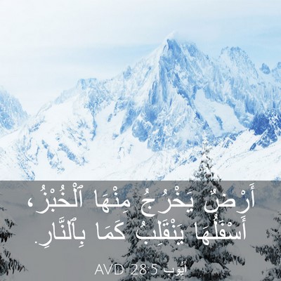 Picture 03 - أَيُّوبَ 28:5 AVD - أَرْضٌ يَخْرُجُ مِنْهَا - Bible Verse Picture