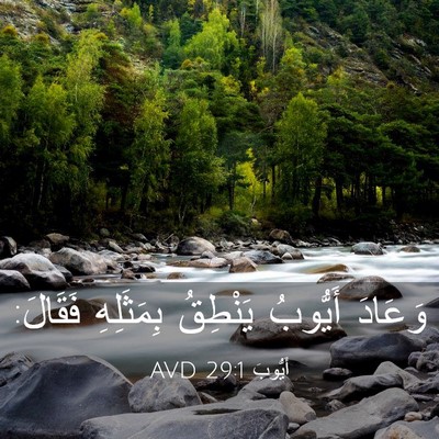 Picture 03 - أَيُّوبَ 29:1 AVD - وَعَادَ أَيُّوبُ يَنْطِقُ - Bible Verse Picture