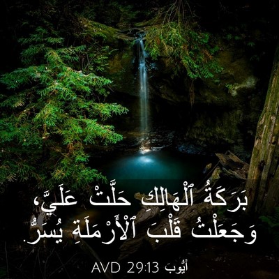Picture 03 - أَيُّوبَ 29:13 AVD - بَرَكَةُ ٱلْهَالِكِ - Bible Verse Picture