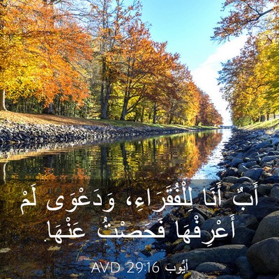 Picture 03 - أَيُّوبَ 29:16 AVD - أَبٌ أَنَا لِلْفُقَرَاءِ، - Bible Verse Picture