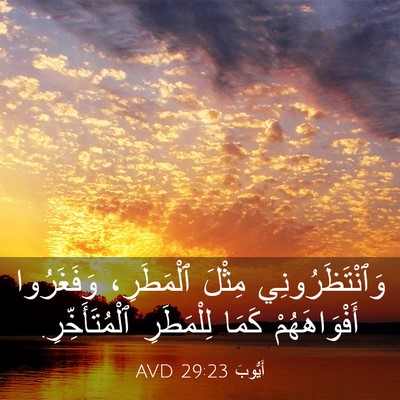 Picture 03 - أَيُّوبَ 29:23 AVD - وَٱنْتَظَرُونِي مِثْلَ - Bible Verse Picture