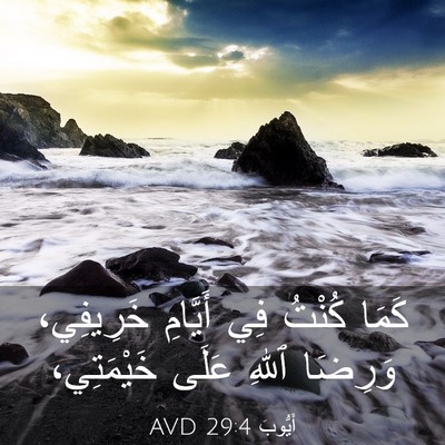 Picture 03 - أَيُّوبَ 29:4 AVD - كَمَا كُنْتُ فِي أَيَّامِ - Bible Verse Picture