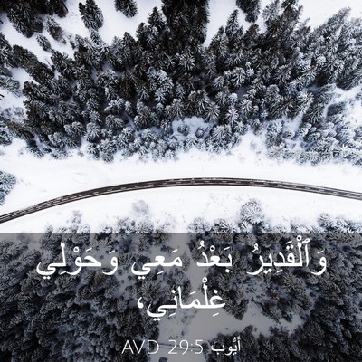 Picture 03 - أَيُّوبَ 29:5 AVD - وَٱلْقَدِيرُ بَعْدُ مَعِي - Bible Verse Picture