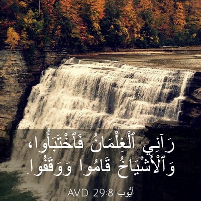 Picture 03 - أَيُّوبَ 29:8 AVD - رَآنِي ٱلْغِلْمَانُ - Bible Verse Picture