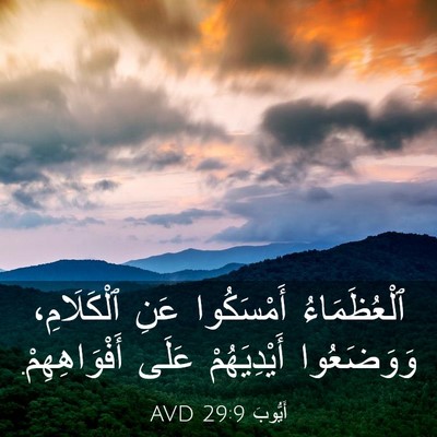 Picture 03 - أَيُّوبَ 29:9 AVD - ٱلْعُظَمَاءُ أَمْسَكُوا - Bible Verse Picture