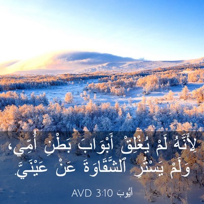 Picture 03 - أَيُّوبَ 3:10 AVD - لِأَنَّهُ لَمْ يُغْلِقْ - Bible Verse Picture