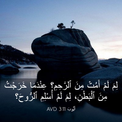 Picture 03 - أَيُّوبَ 3:11 AVD - لِمَ لَمْ أَمُتْ مِنَ - Bible Verse Picture