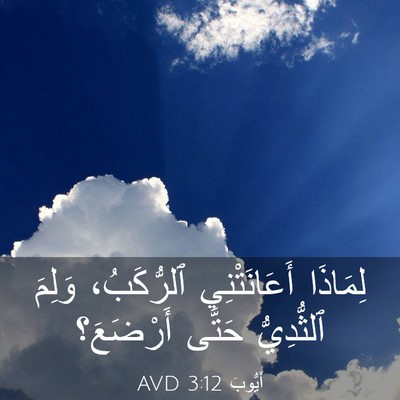 Picture 03 - أَيُّوبَ 3:12 AVD - لِمَاذَا أَعَانَتْنِي - Bible Verse Picture
