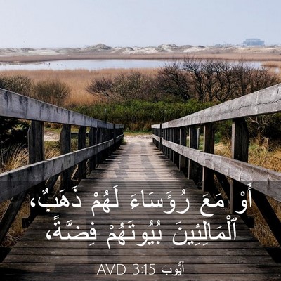 Picture 03 - أَيُّوبَ 3:15 AVD - أَوْ مَعَ رُؤَسَاءَ لَهُمْ - Bible Verse Picture
