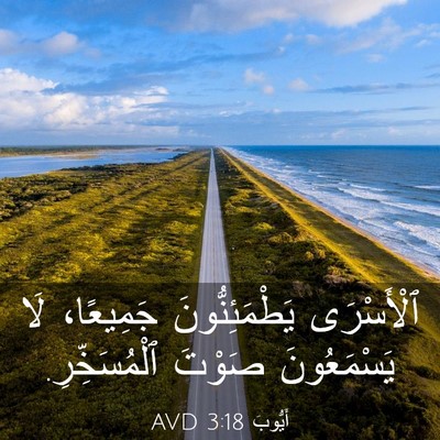Picture 03 - أَيُّوبَ 3:18 AVD - ٱلْأَسْرَى يَطْمَئِنُّونَ - Bible Verse Picture