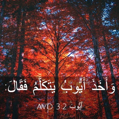 Picture 03 - أَيُّوبَ 3:2 AVD - وَأَخَذَ أَيُّوبُ - Bible Verse Picture