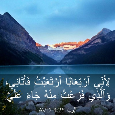 Picture 03 - أَيُّوبَ 3:25 AVD - لِأَنِّي ٱرْتِعَابًا - Bible Verse Picture