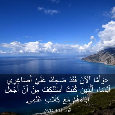 Picture 03 - أَيُّوبَ 30:1 AVD - «وَأَمَّا ٱلْآنَ فَقَدْ - Bible Verse Picture