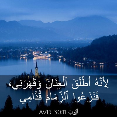 Picture 03 - أَيُّوبَ 30:11 AVD - لِأَنَّهُ أَطْلَقَ - Bible Verse Picture