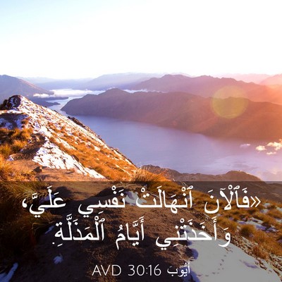 Picture 03 - أَيُّوبَ 30:16 AVD - «فَٱلْآنَ ٱنْهَالَتْ - Bible Verse Picture