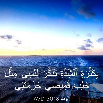 Picture 03 - أَيُّوبَ 30:18 AVD - بِكَثْرَةِ ٱلشِّدَّةِ - Bible Verse Picture
