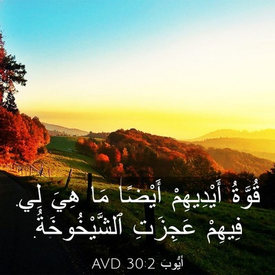 Picture 03 - أَيُّوبَ 30:2 AVD - قُوَّةُ أَيْدِيهِمْ - Bible Verse Picture
