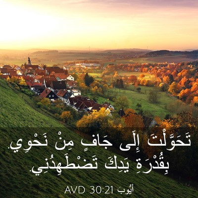 Picture 03 - أَيُّوبَ 30:21 AVD - تَحَوَّلْتَ إِلَى جَافٍ - Bible Verse Picture