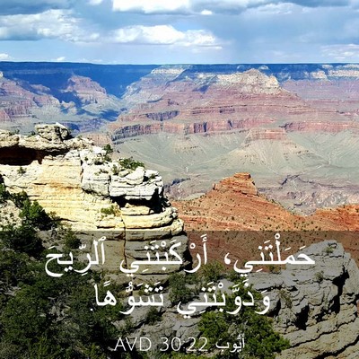 Picture 03 - أَيُّوبَ 30:22 AVD - حَمَلْتَنِي، - Bible Verse Picture