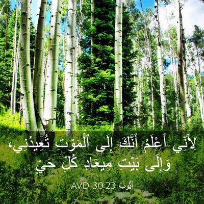 Picture 03 - أَيُّوبَ 30:23 AVD - لِأَنِّي أَعْلَمُ أَنَّكَ - Bible Verse Picture