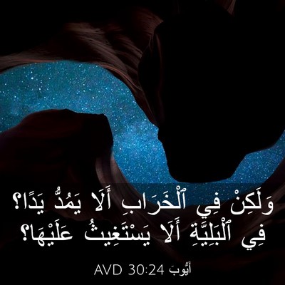 Picture 03 - أَيُّوبَ 30:24 AVD - وَلَكِنْ فِي ٱلْخَرَابِ - Bible Verse Picture