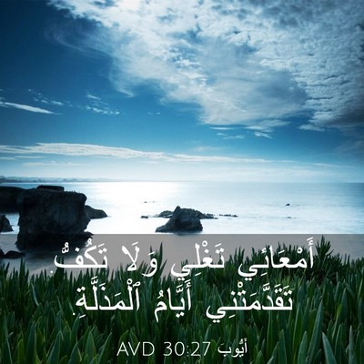 Picture 03 - أَيُّوبَ 30:27 AVD - أَمْعَائِي تَغْلِي وَلَا - Bible Verse Picture