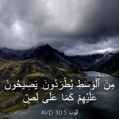 Picture 03 - أَيُّوبَ 30:5 AVD - مِنَ ٱلْوَسَطِ - Bible Verse Picture