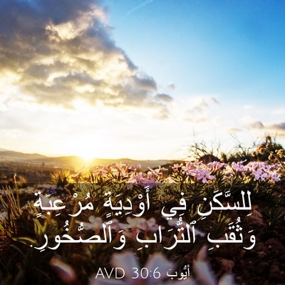 Picture 03 - أَيُّوبَ 30:6 AVD - لِلسَّكَنِ فِي أَوْدِيَةٍ - Bible Verse Picture