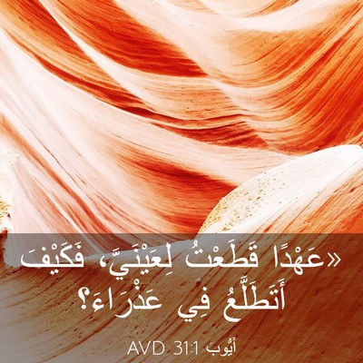 Picture 03 - أَيُّوبَ 31:1 AVD - «عَهْدًا قَطَعْتُ - Bible Verse Picture