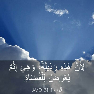 Picture 03 - أَيُّوبَ 31:11 AVD - لِأَنَّ هَذِهِ رَذِيلَةٌ، - Bible Verse Picture