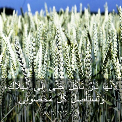 Picture 03 - أَيُّوبَ 31:12 AVD - لِأَنَّهَا نَارٌ تَأْكُلُ - Bible Verse Picture