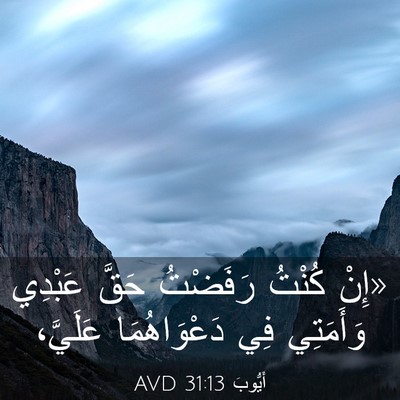 Picture 03 - أَيُّوبَ 31:13 AVD - «إِنْ كُنْتُ رَفَضْتُ - Bible Verse Picture