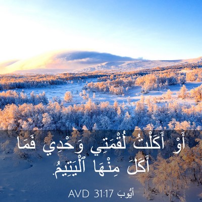 Picture 03 - أَيُّوبَ 31:17 AVD - أَوْ أَكَلْتُ لُقْمَتِي - Bible Verse Picture